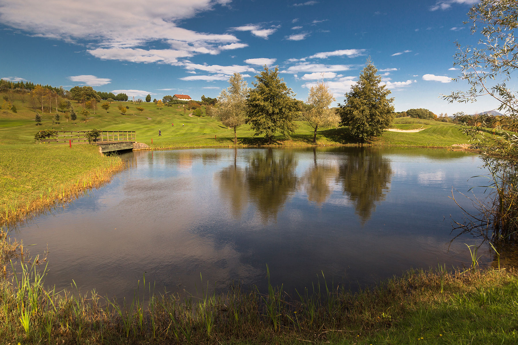 basozabal etang2