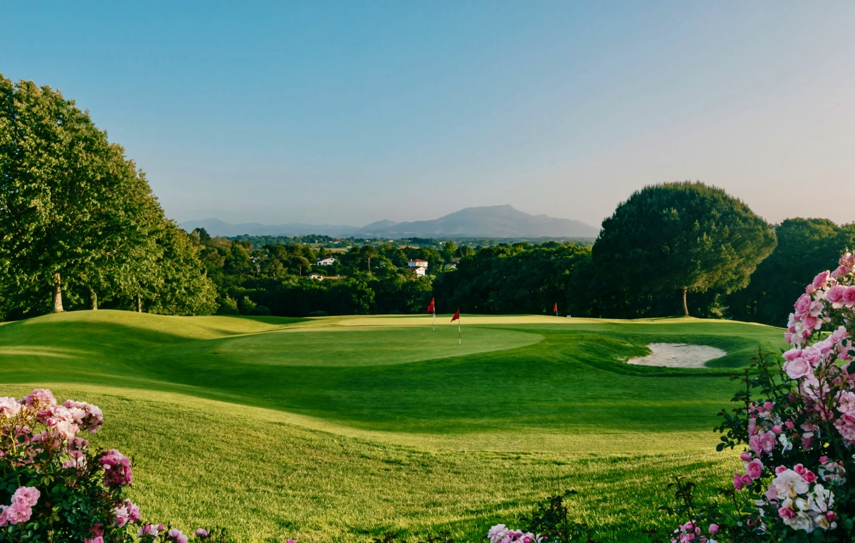 golf green et montagne