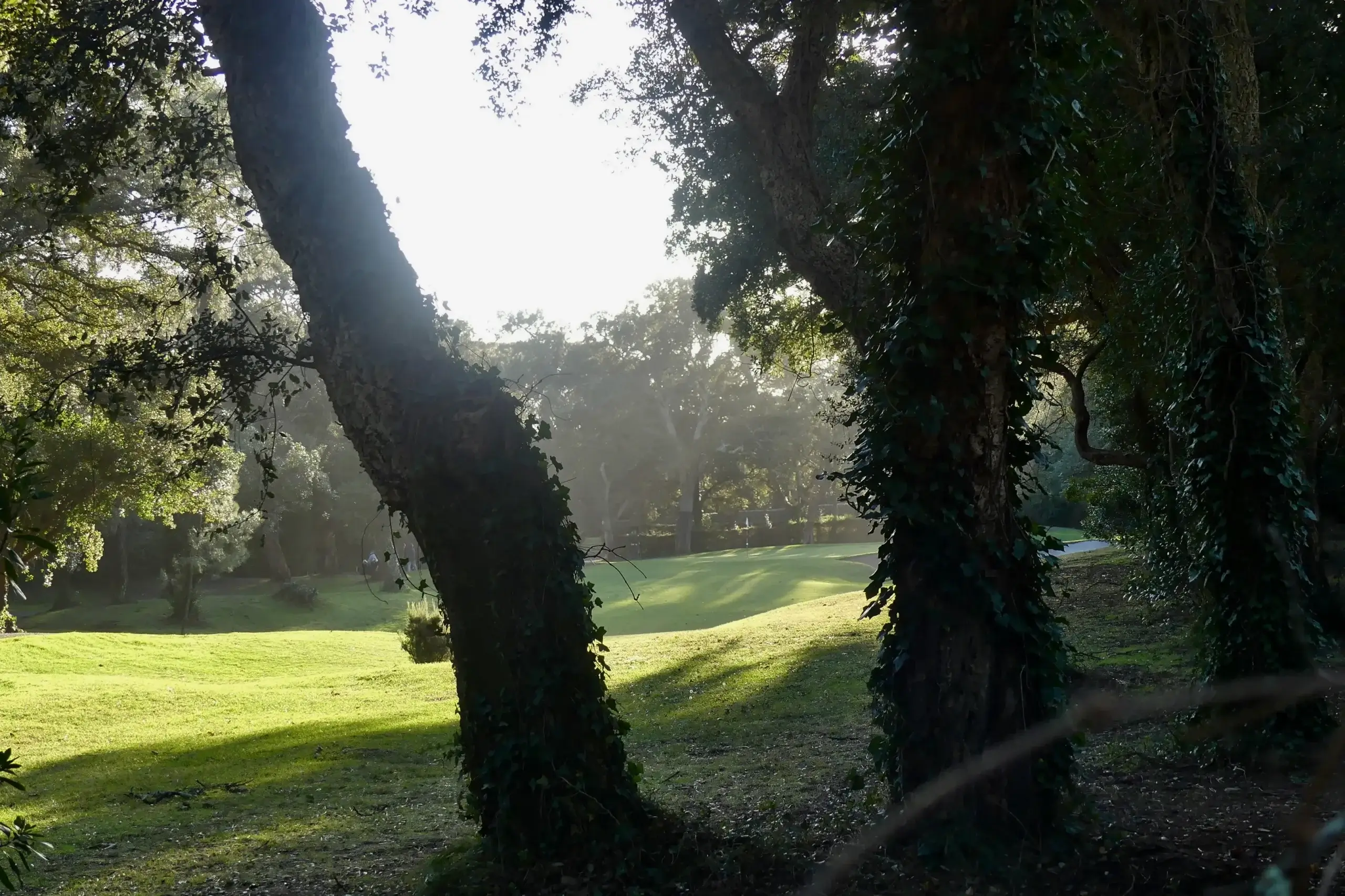 fin de journée golf hossegor